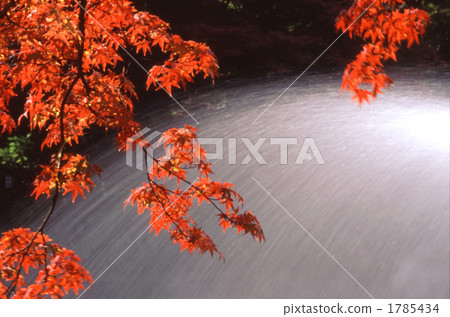 秋葉在噴泉背面 秋葉在噴泉背面 1785434