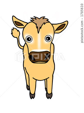 Cow Cow 1785610
