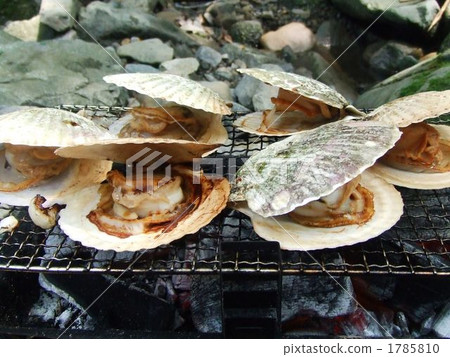scallop, grilling, shell 1785810
