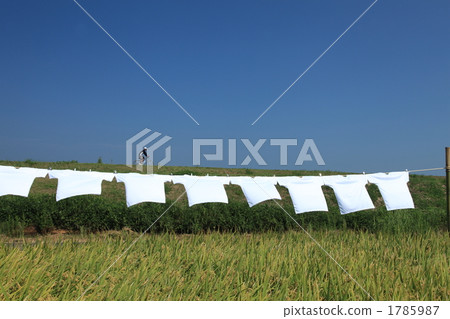 T恤和騎自行車 1785987