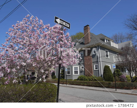 House in the suburb of Boston House in the suburb of Boston 1786472