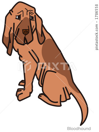 Bloodhound 03_100922 1786558