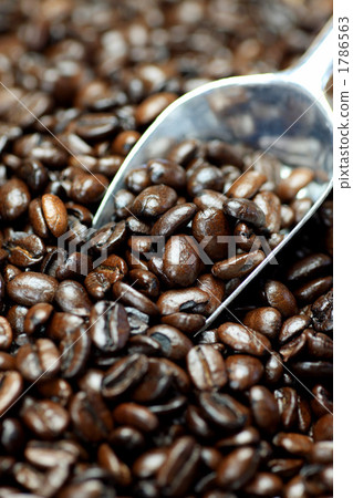 咖啡豆 1786563