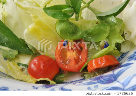 Peppers under the eaves 1786626