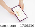 Hand that hands a gift bag Hand that hands a gift bag 1786830