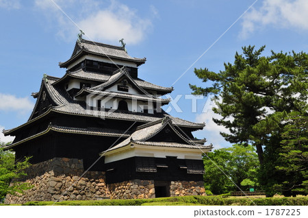 Matsue Castle Matsue Castle 1787225