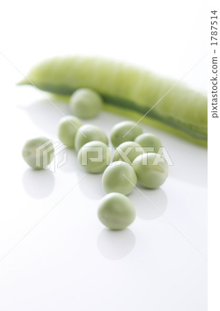 豌豆 1787514