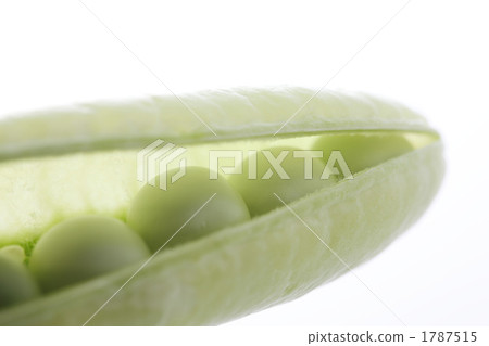 豌豆 1787515