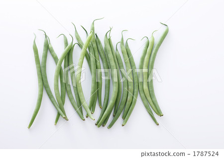 Sand beans 1787524