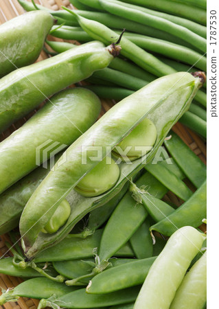 Various beans Various beans 1787530