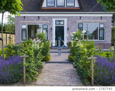 Dutch private house lavender Dutch private house lavender 1787743