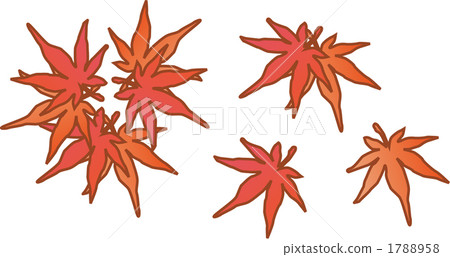 插圖楓 插圖楓 1788958