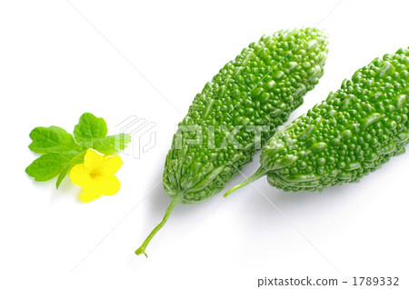 苦瓜 苦瓜 1789332