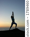 Yoga pose 1789460