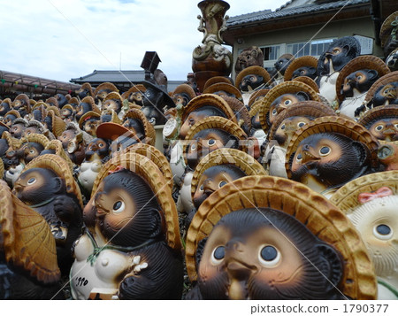 Shogaku raccoon 1790377