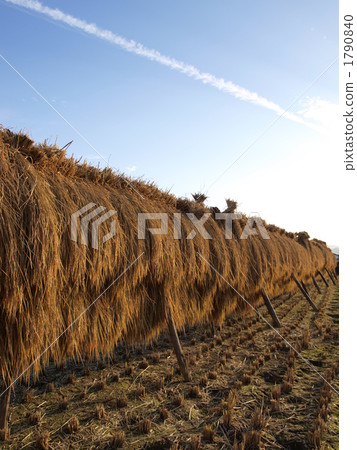 籃子和飛機雲 1790840