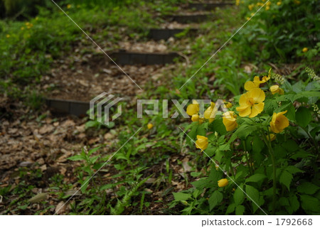 Yamaboko south of Takarashi-shi, Yamanashi Prefecture 1792668