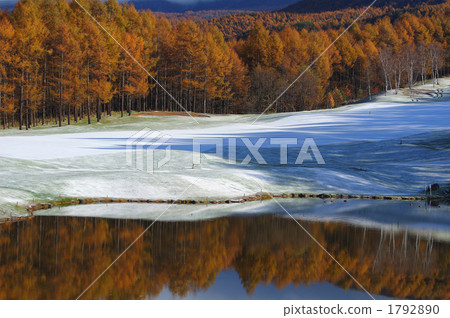 Autumn leaves of Karamatsu Autumn leaves of Karamatsu 1792890
