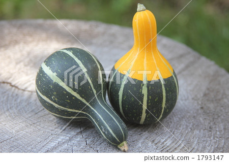 玩具壁球 1793147