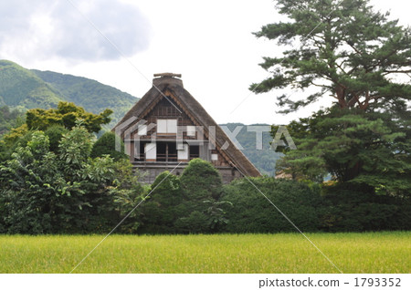 白川鄉 長滿茅草的椽架屋頂 世界遺產 1793352