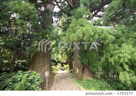 兩三個Kumano Kodo夫婦 1793577