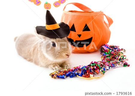 戴著傑克o燈籠和巫婆帽子的兒童兔子 1793616