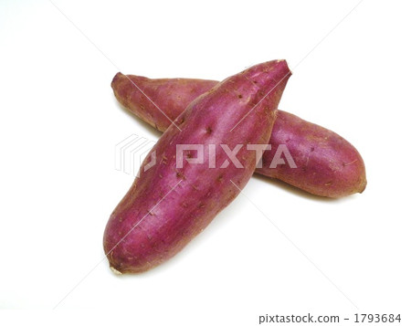 甘藷 甘藷 1793684