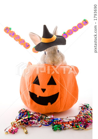 戴著巫婆帽子的兔子和鬧鬼的南瓜 1793690