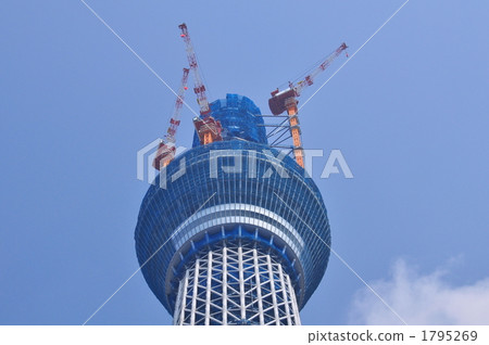 Sky tree  1795269