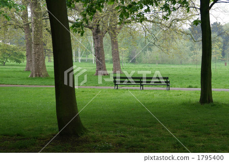 清晨麗晶公園 清晨麗晶公園 1795400