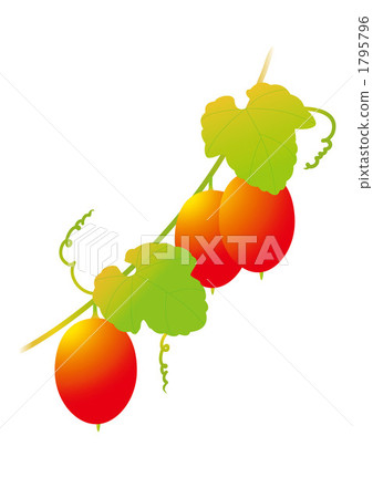 Karasuuri Karasuuri 1795796