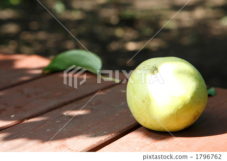Green pearskin 1796762