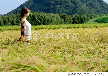 Fruitful autumn 1797263