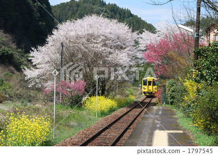 Bungoichiagawa Station Bungoichiagawa Station 1797545