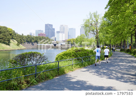 running, sport, sports 1797583