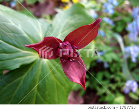 Enrique soup Enrique soup 1797783