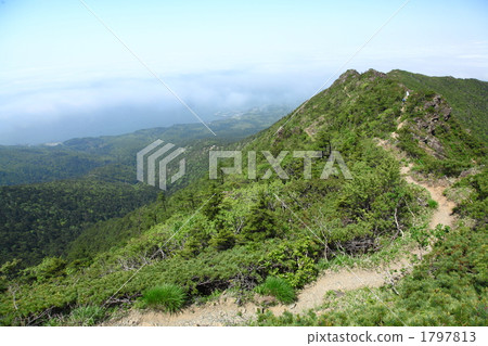 Aoyama mountain climbing road 1797813