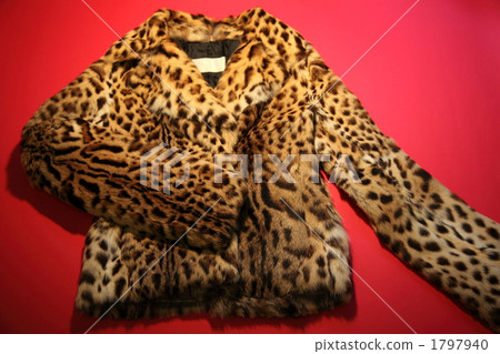 豹紋 豹紋 1797940