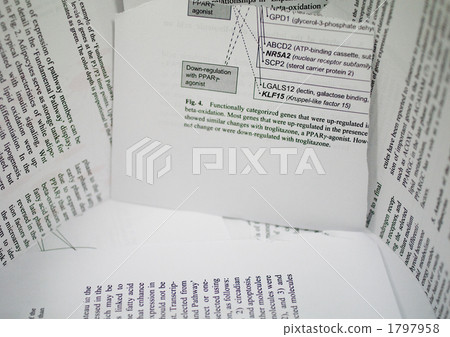 論文 論文 1797958