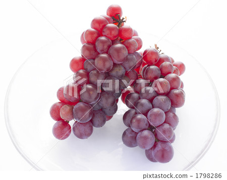 Grape Delaware 1798286