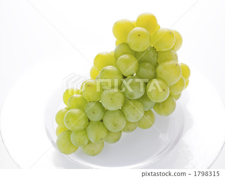 Grape Portland Grape Portland 1798315