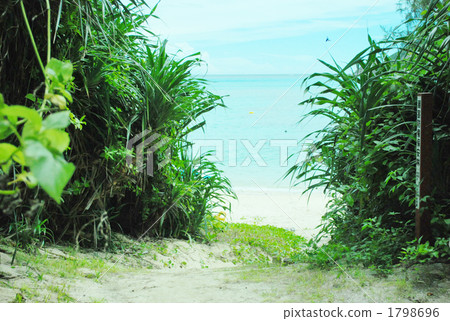 Road leading to the sea 1798696