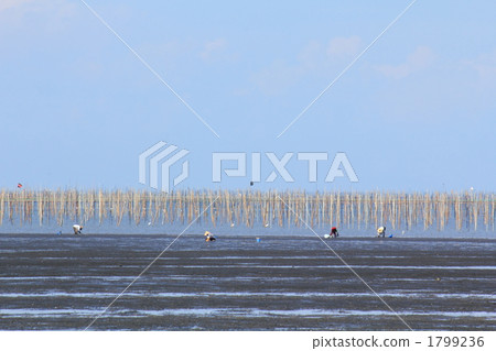 Scenery of the Ariake Sea 1799236