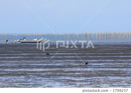 Scenery of the Ariake Sea 1799237