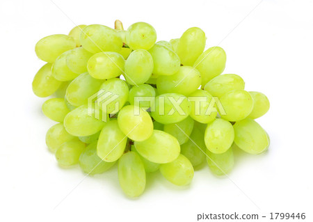 葡萄 1799446