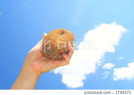 hand, Daily Life, everyday life 1799573