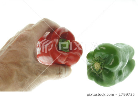 Hand with color peppers Hand with color peppers 1799725
