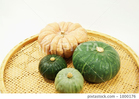 日本南瓜 核桃南瓜 植物 1800176