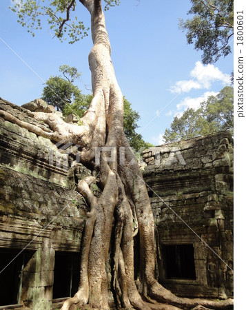 Ta Proton (Cambodia) Ta Proton (Cambodia) 1800601