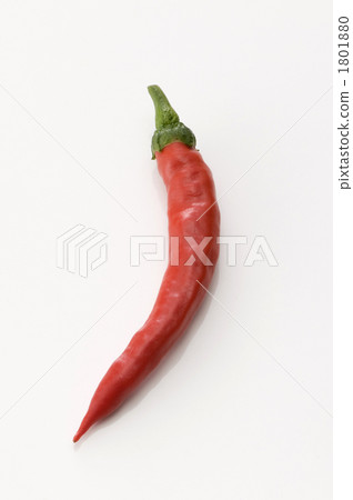 Red pepper 1801880